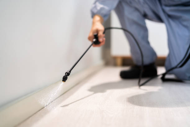 Licensed Termite Control service in Fentress County County, TN - Nex Pest Control